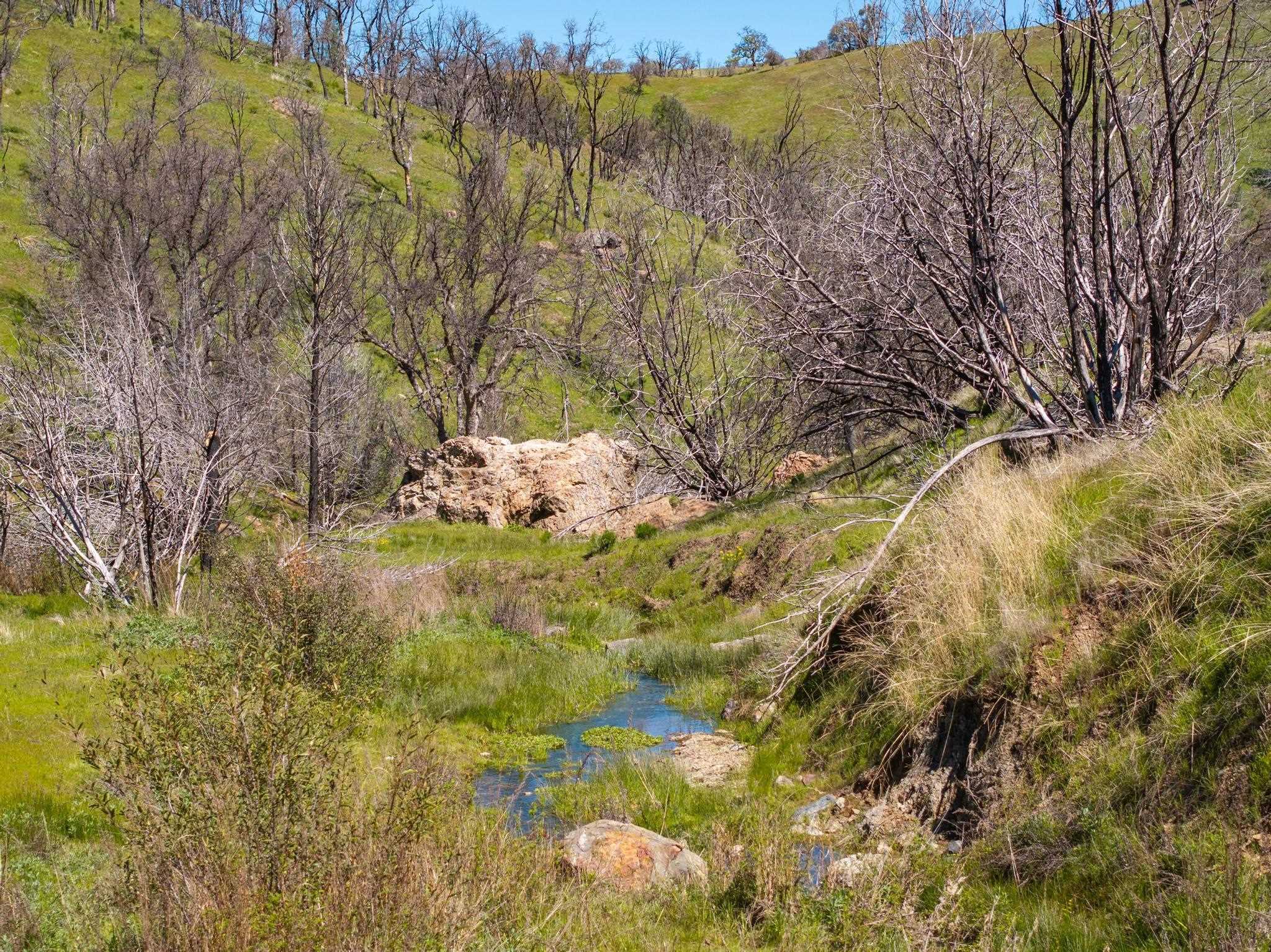 15676 W Corral Hollow Rd