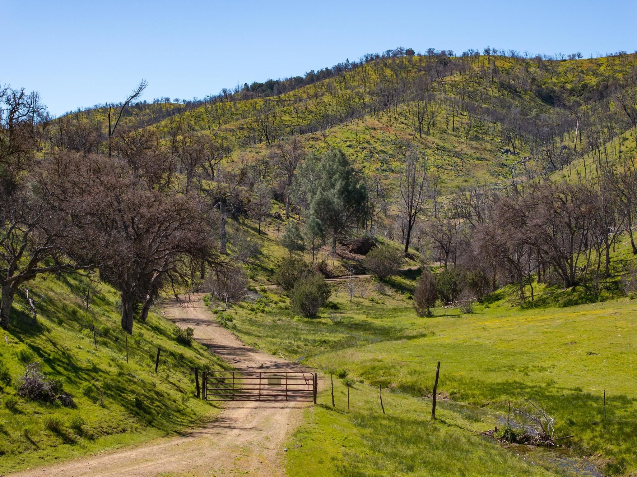 15676 W Corral Hollow Rd