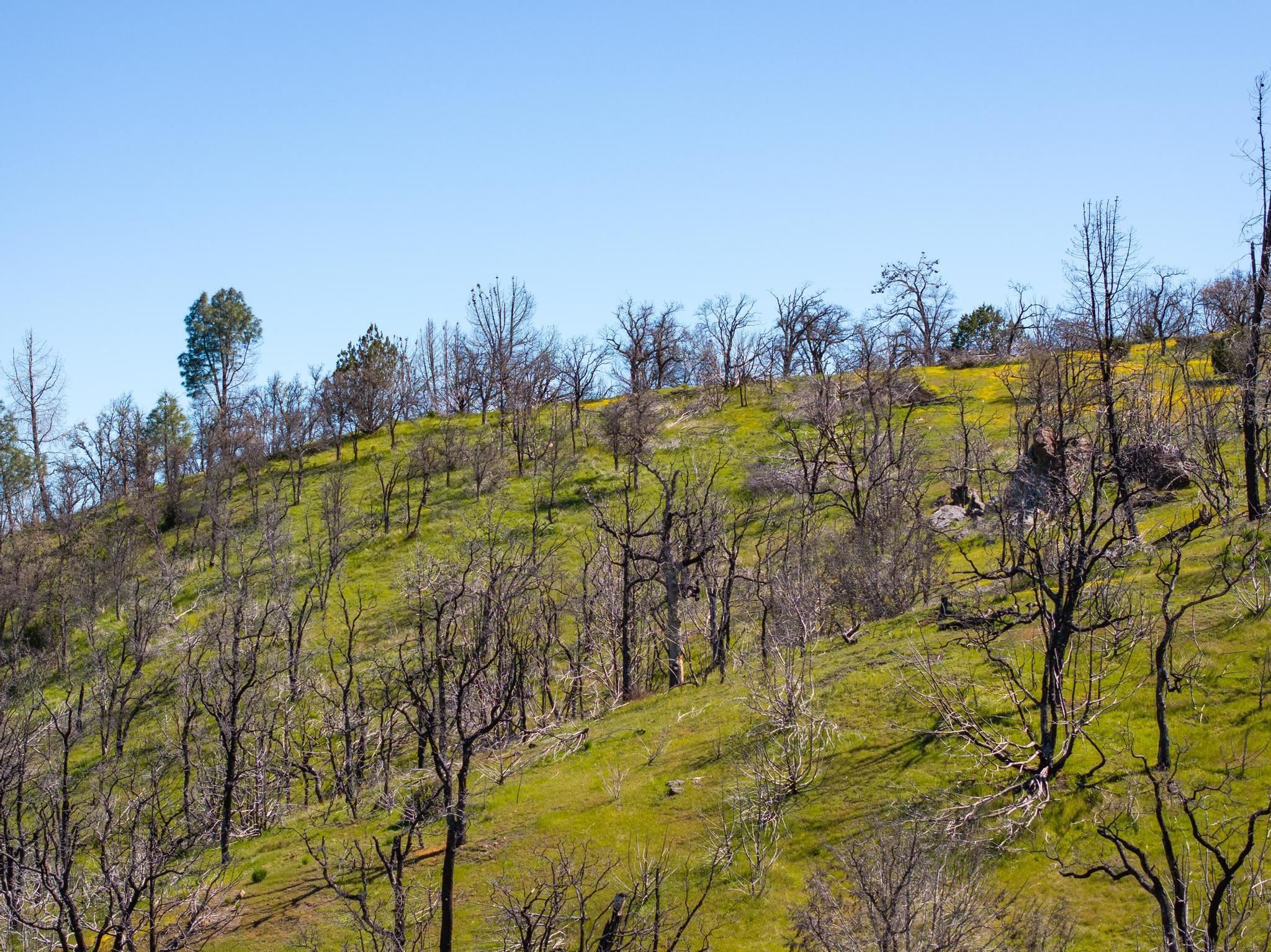 15676 W Corral Hollow Rd