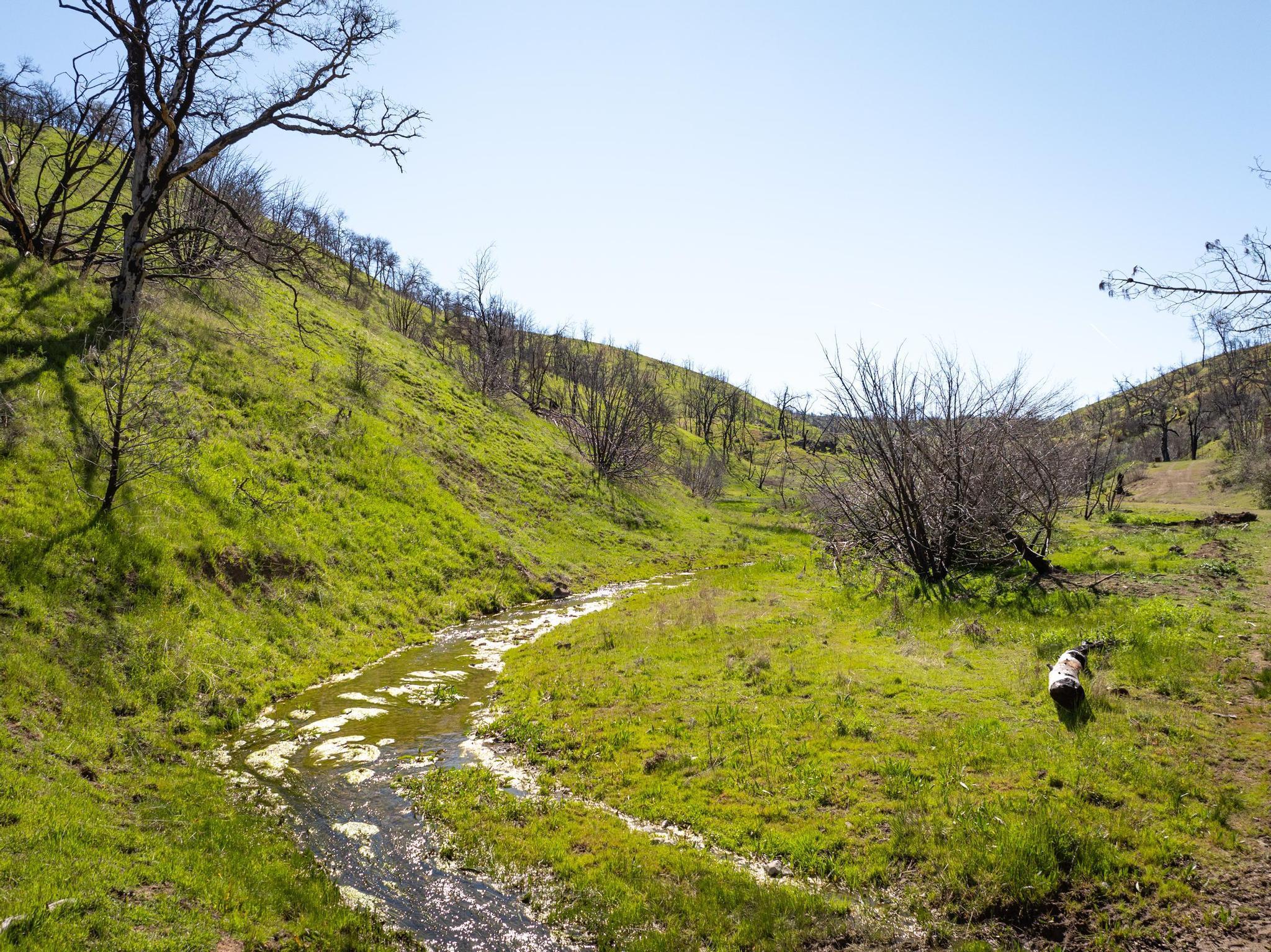 15676 W Corral Hollow Rd