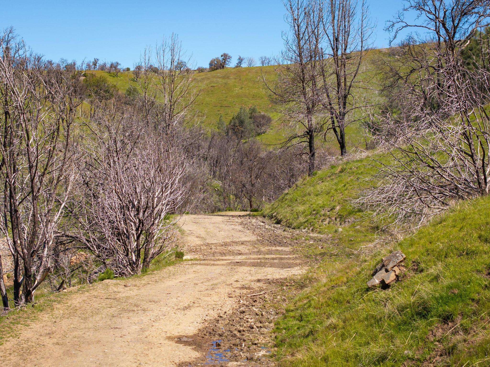 15676 W Corral Hollow Rd