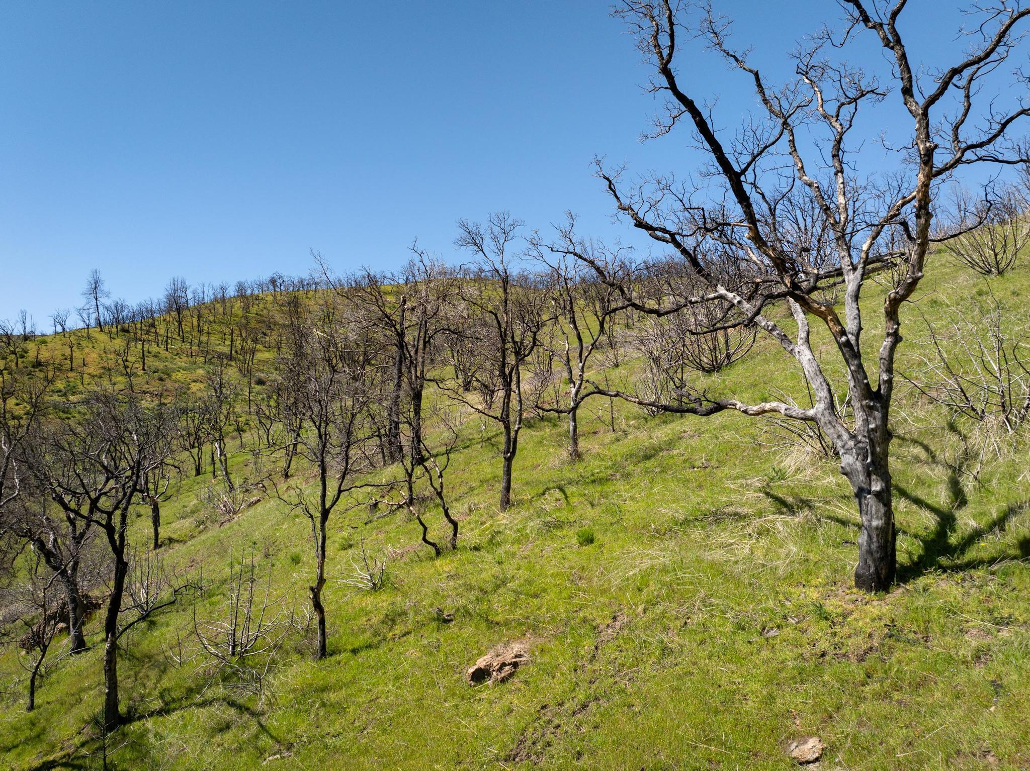 15676 W Corral Hollow Rd