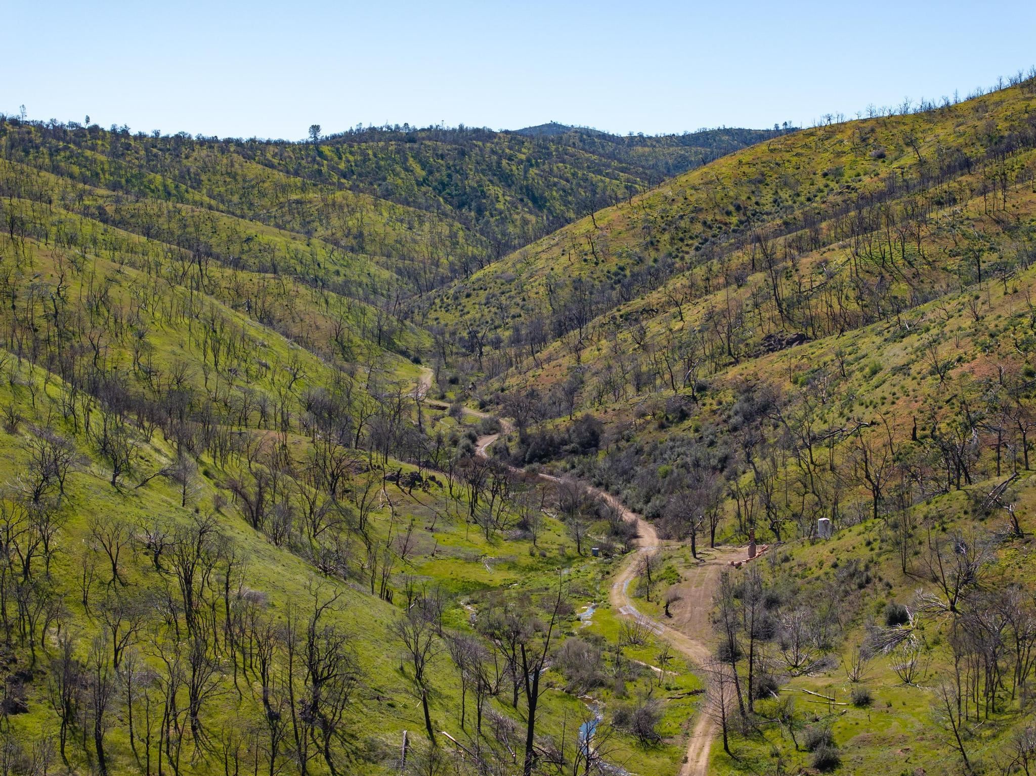 15676 W Corral Hollow Rd