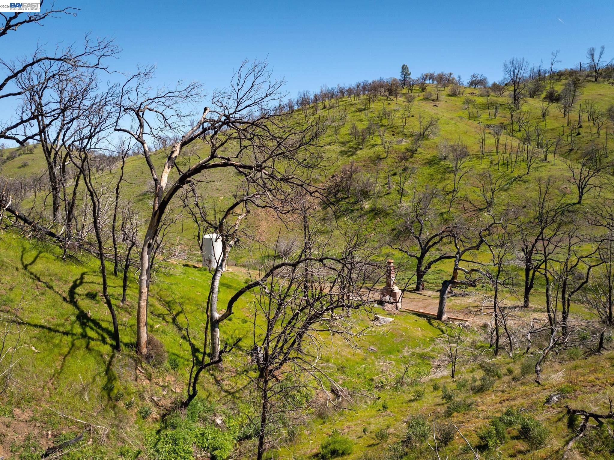 15676 W Corral Hollow Rd