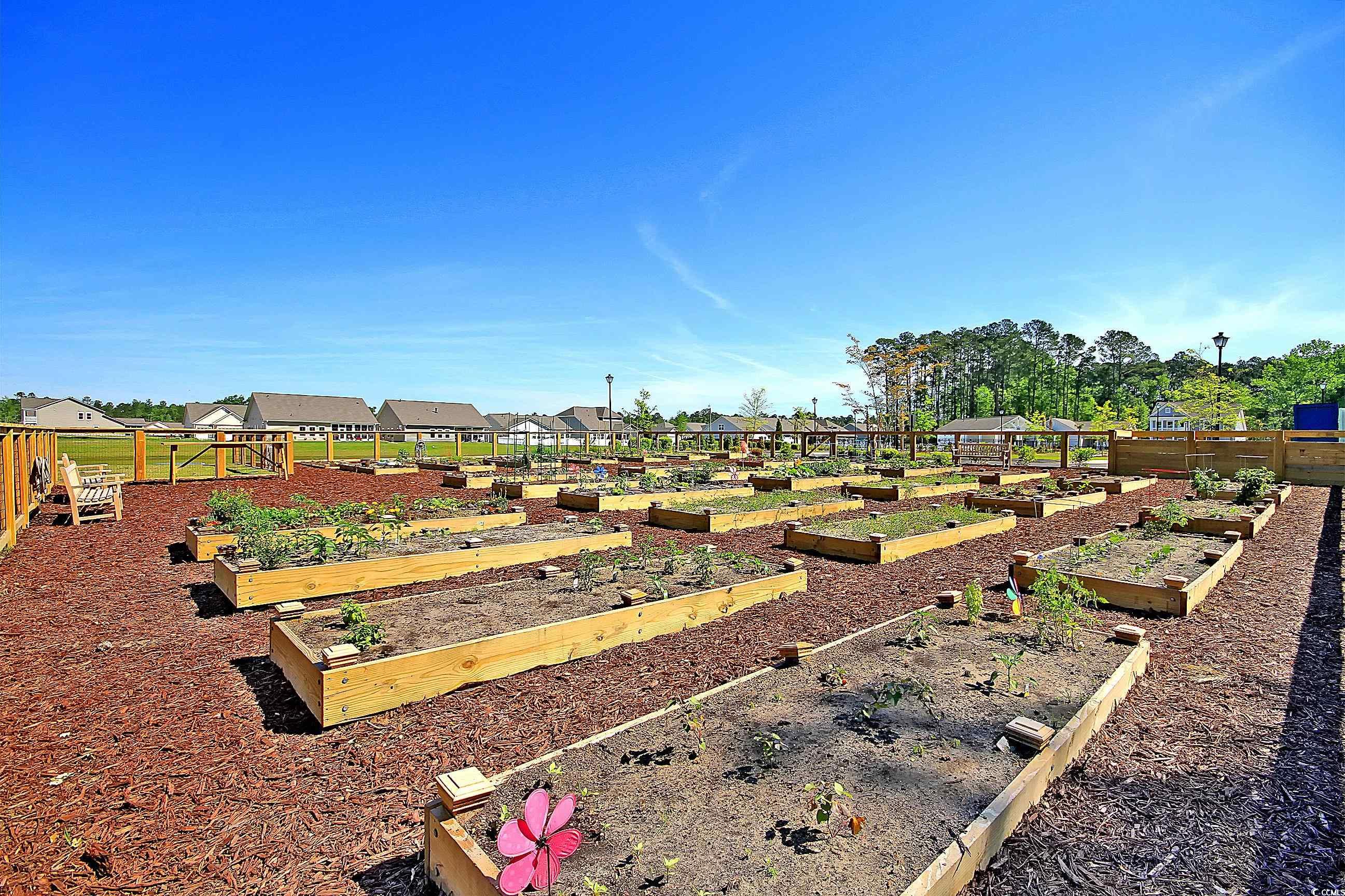 552 Harrison Mill St. Unit: 586