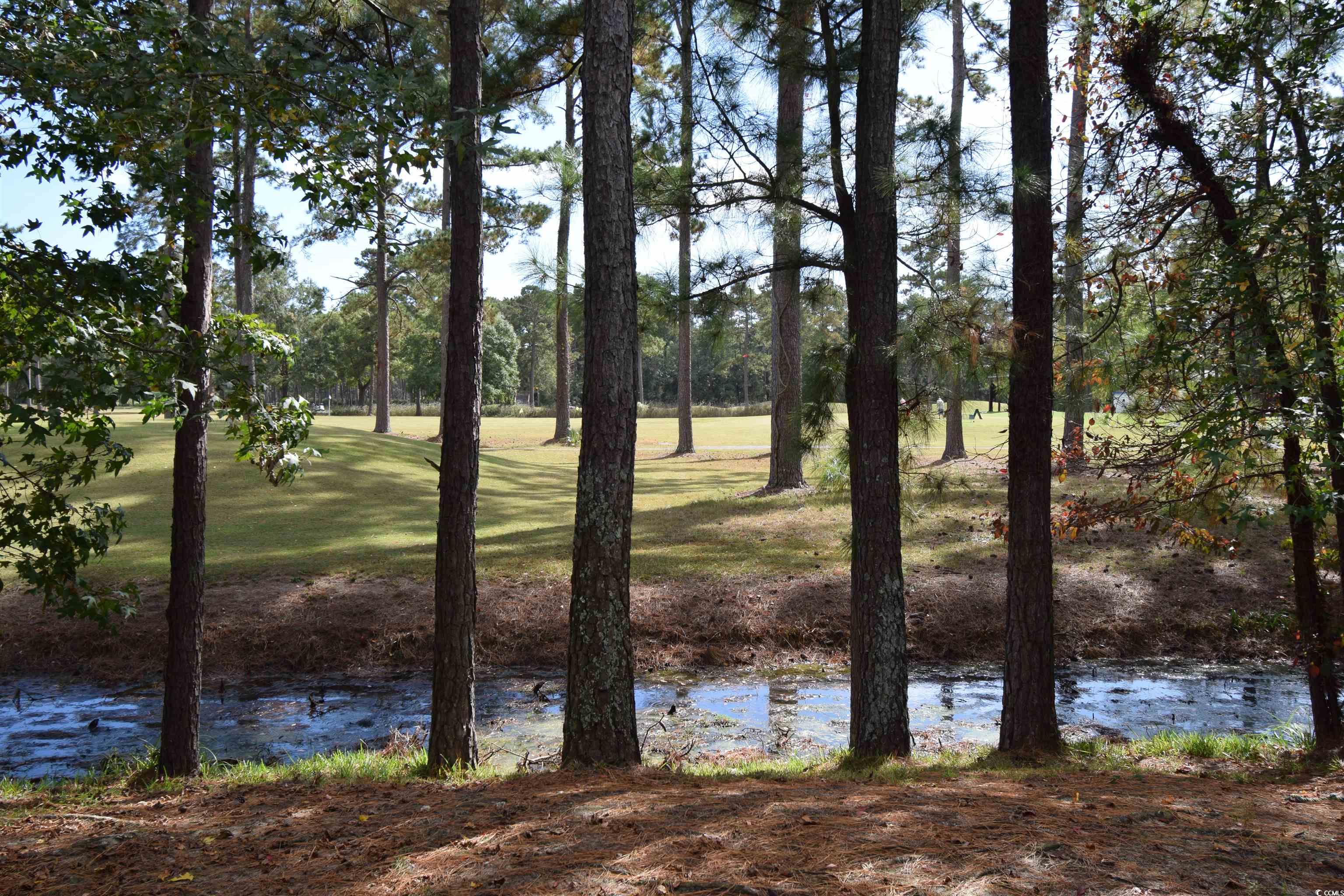 281 Connemara Dr. Unit: B