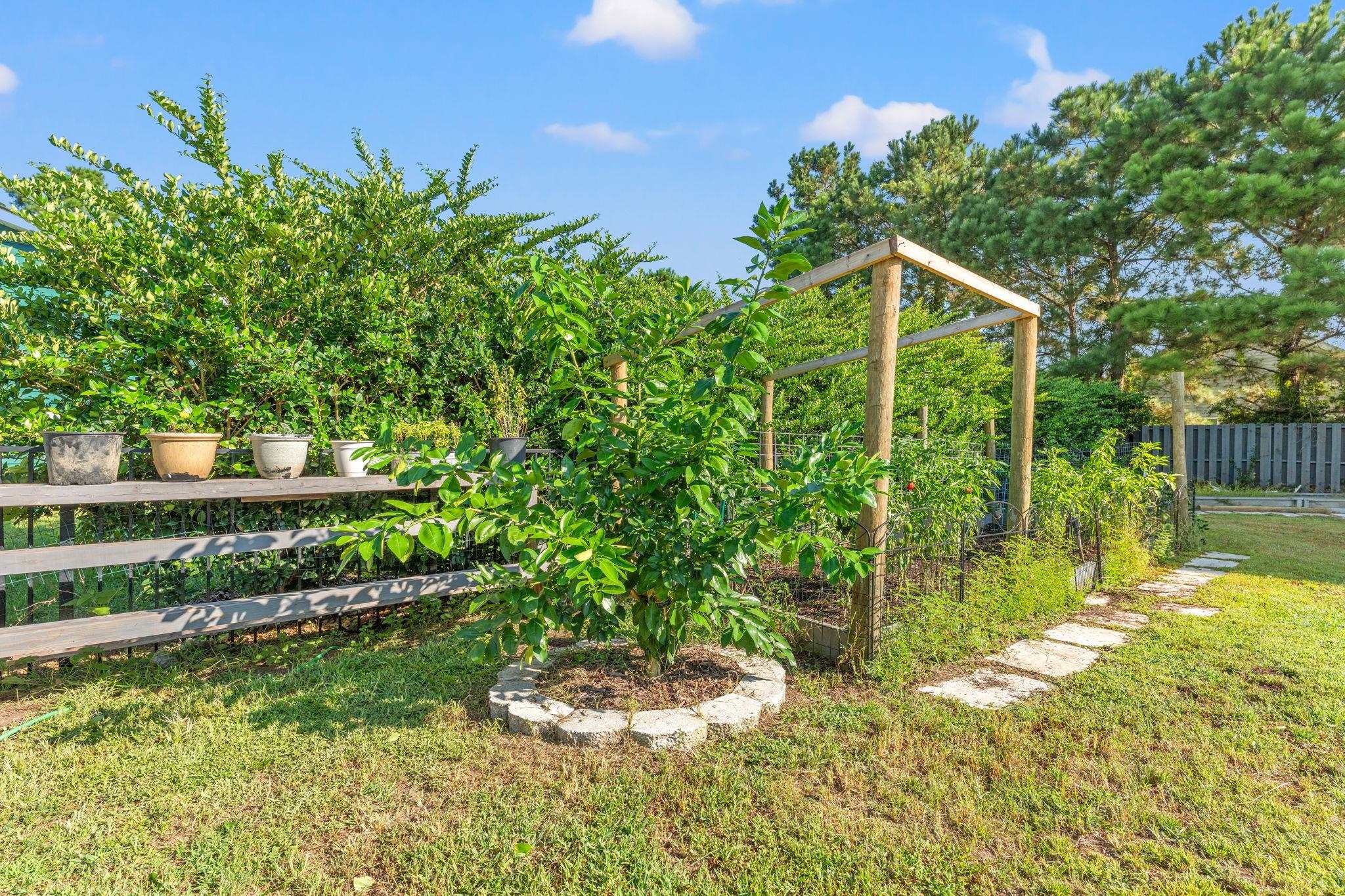 1066 Englemann Oak Dr.