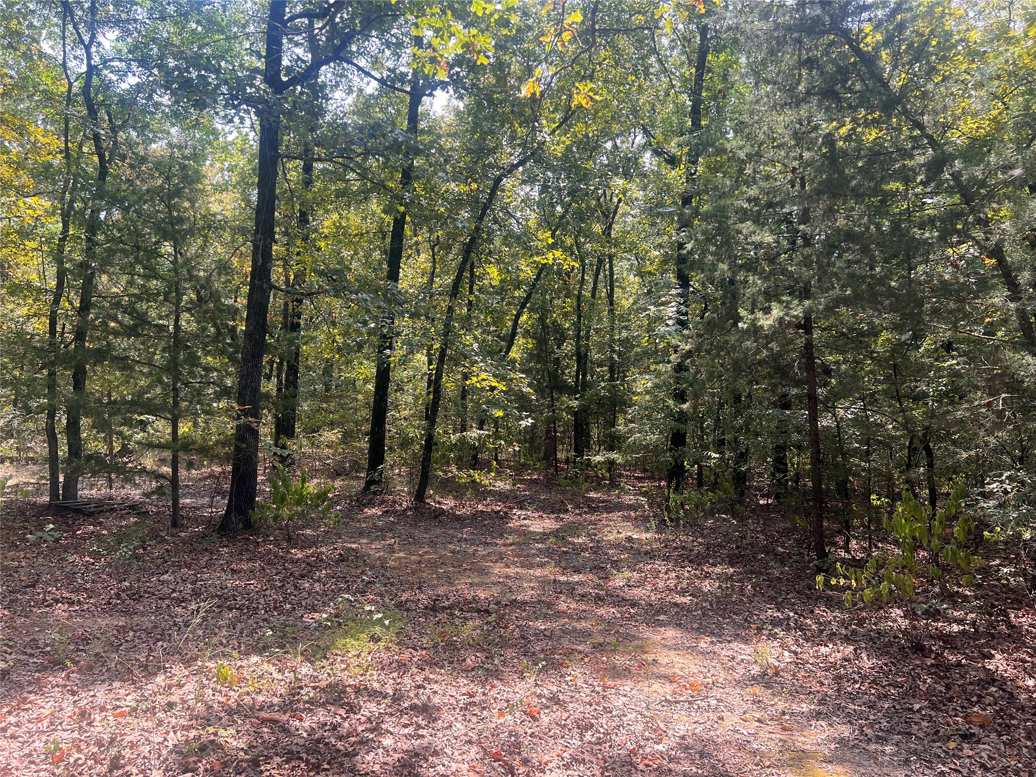 01 County Road 2418