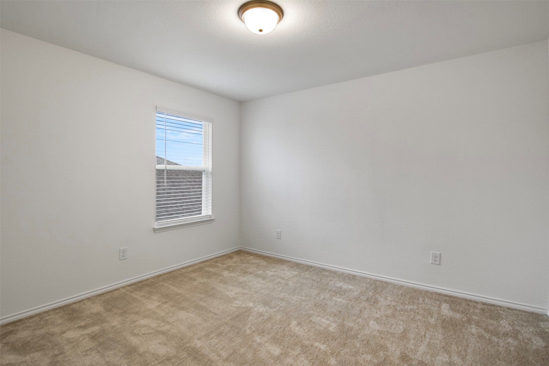 2117 Camellia Street