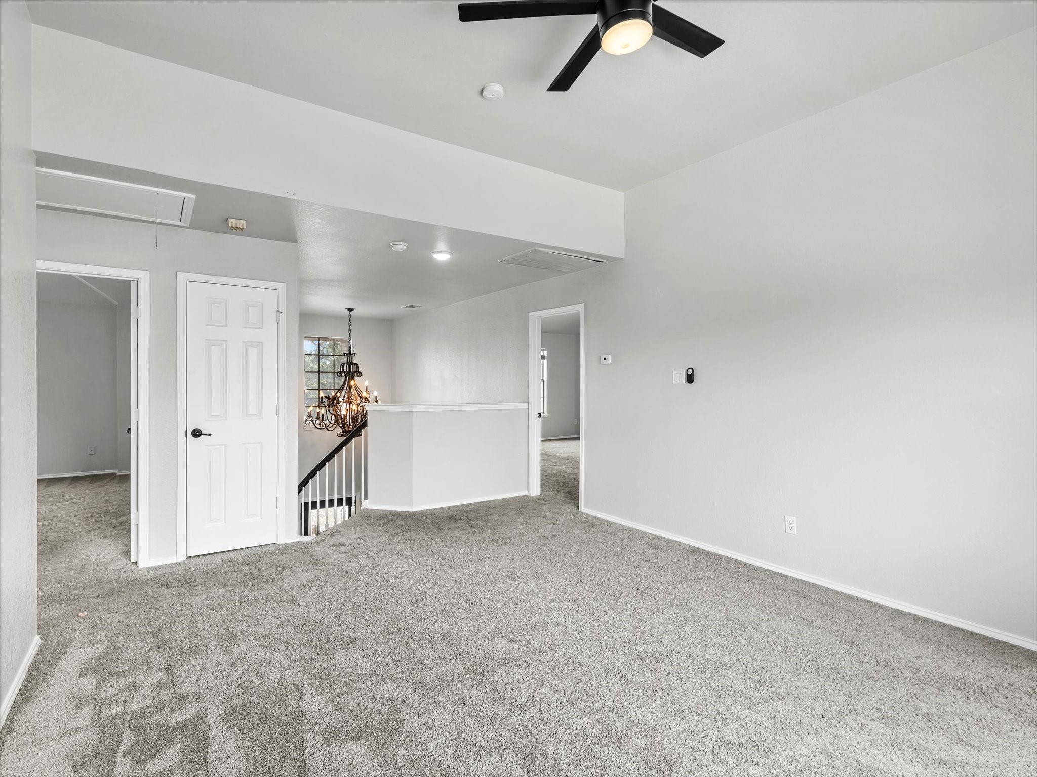 1441 Dimmit Drive