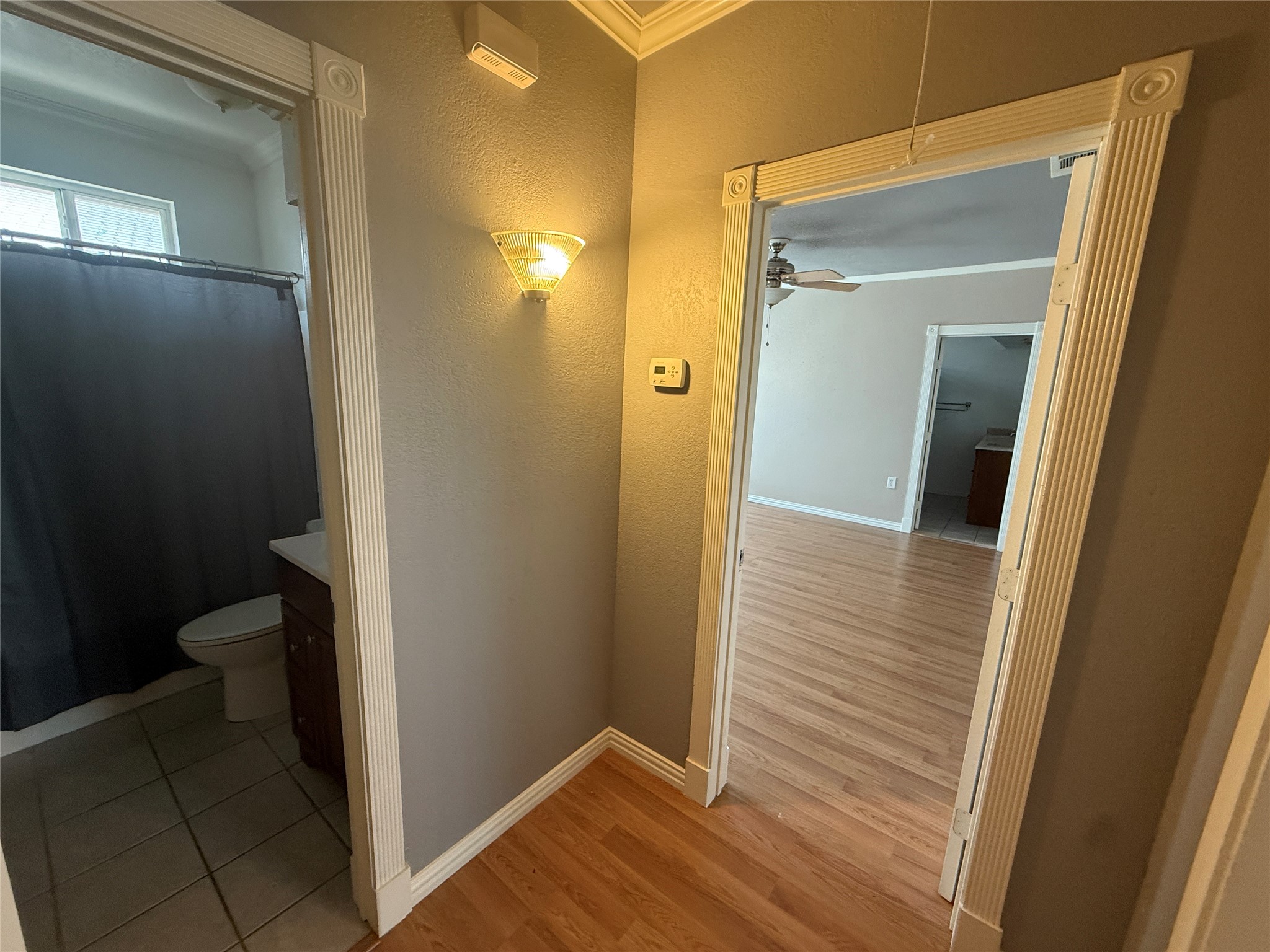 1916 Grainger Street