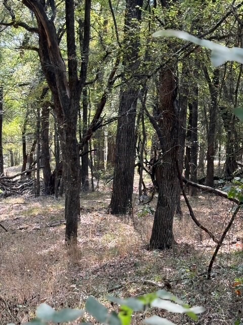 TBD 5.4ac County Rd 206