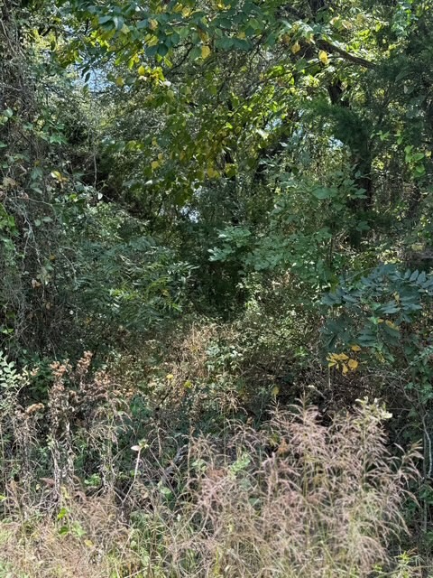 TBD 5.4ac County Rd 206