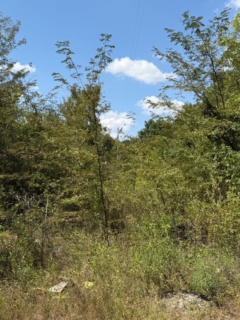 TBD 5.4ac County Rd 206