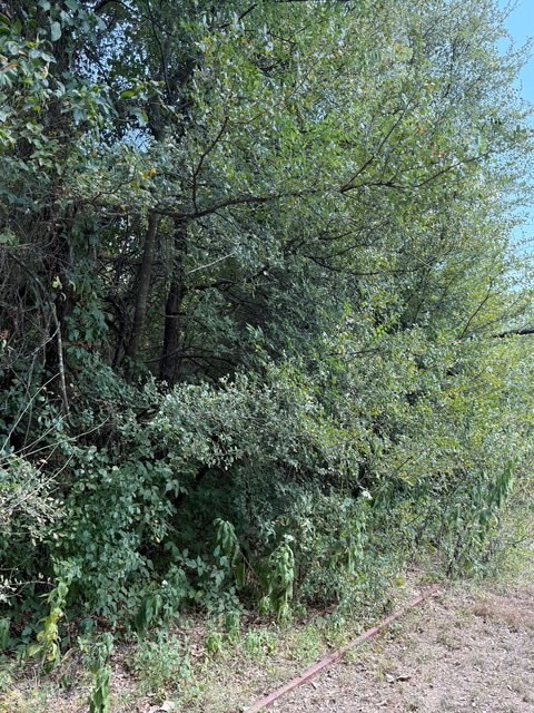 TBD 5.4ac County Rd 206