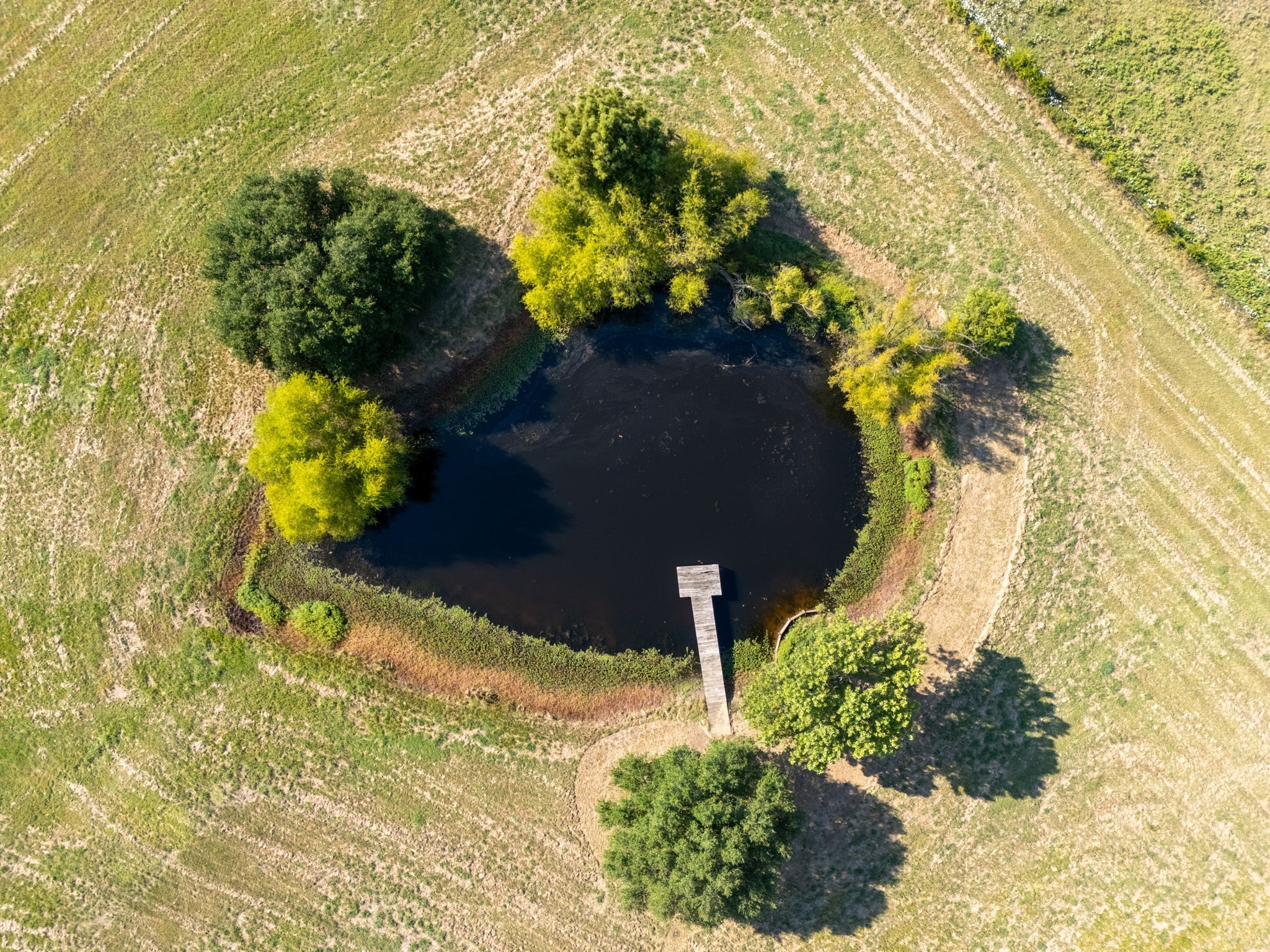 3813 County Road 2212