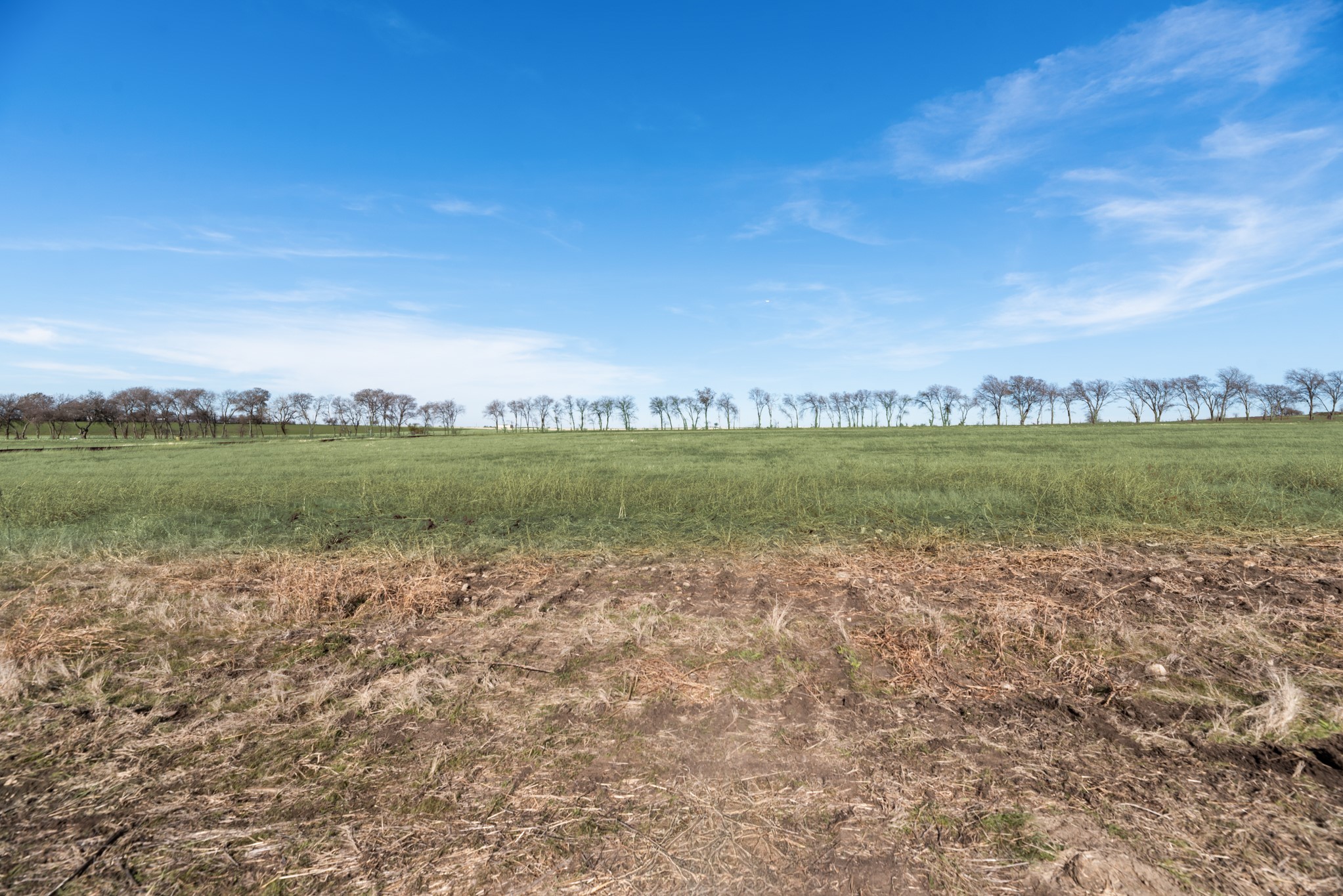 TBD BOIS D' ARC Lane