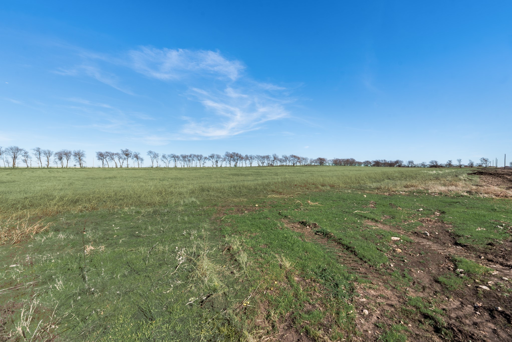 TBD BOIS D' ARC Lane