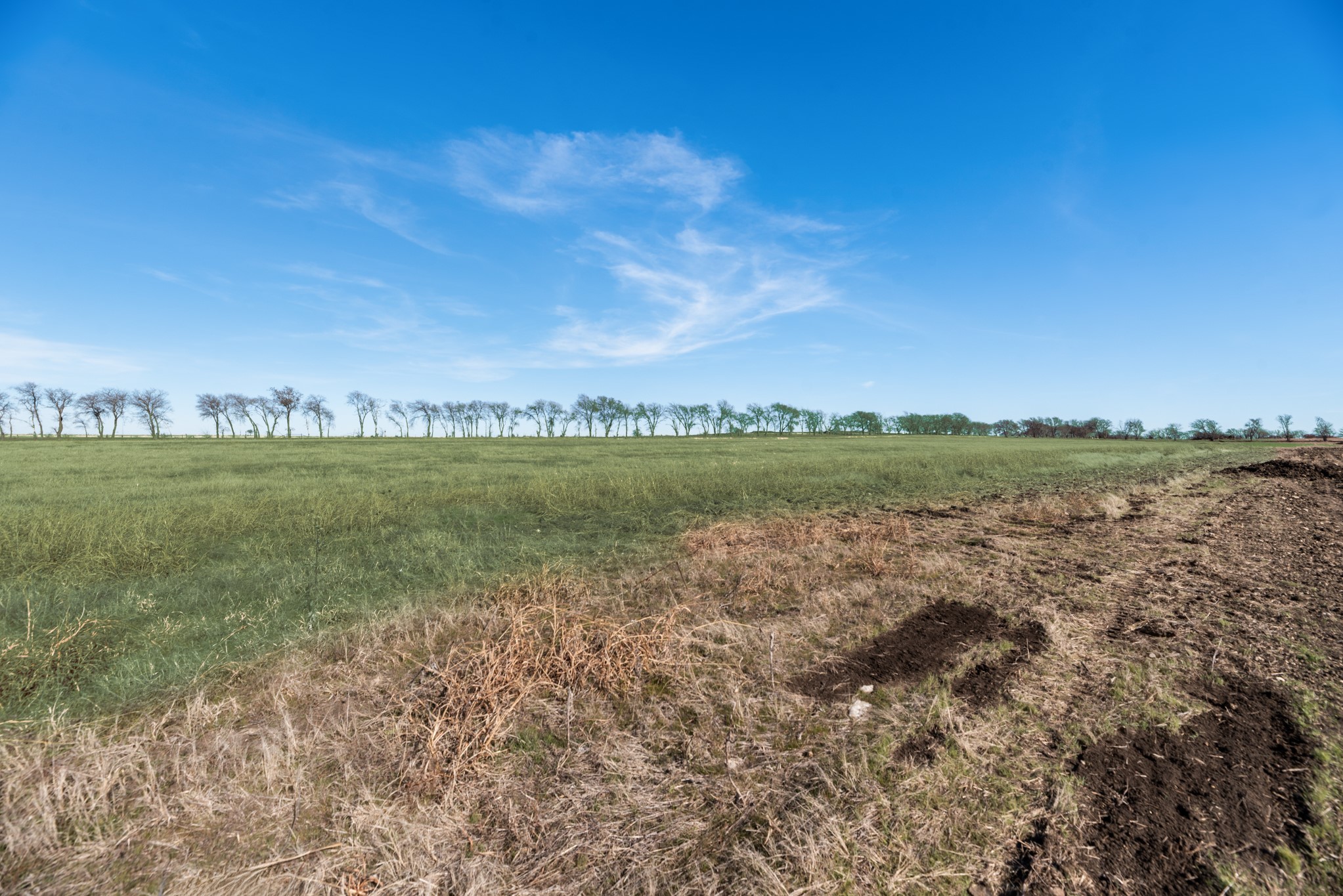 TBD BOIS D' ARC Lane