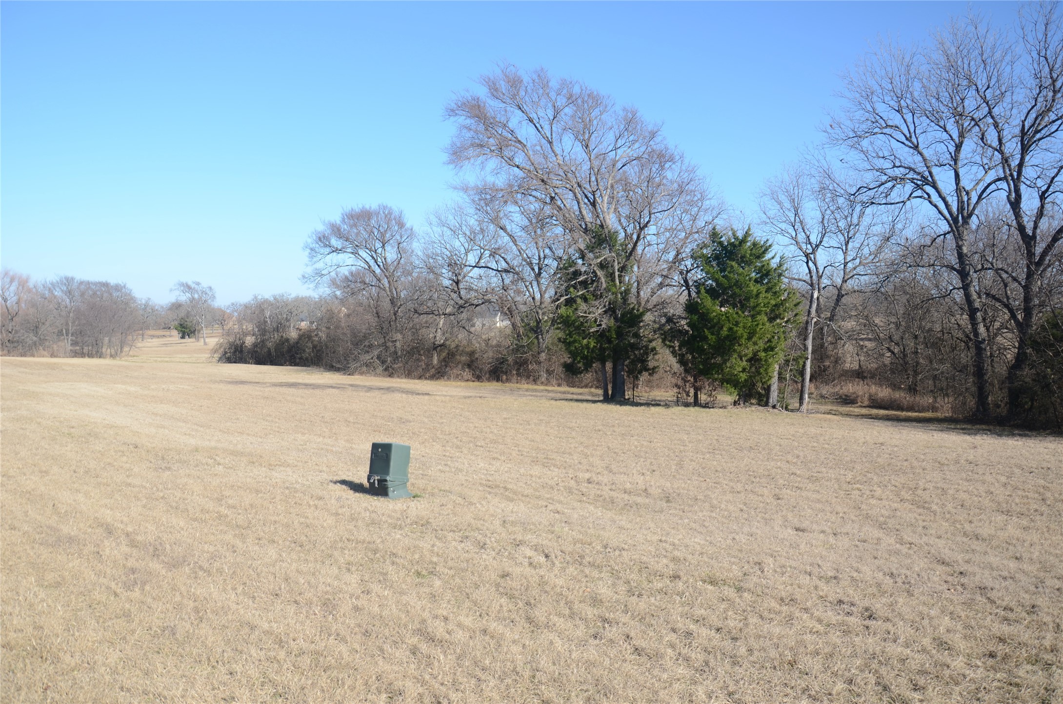 Open grassy property with mature trees along the back and a utility box in the foreground.
