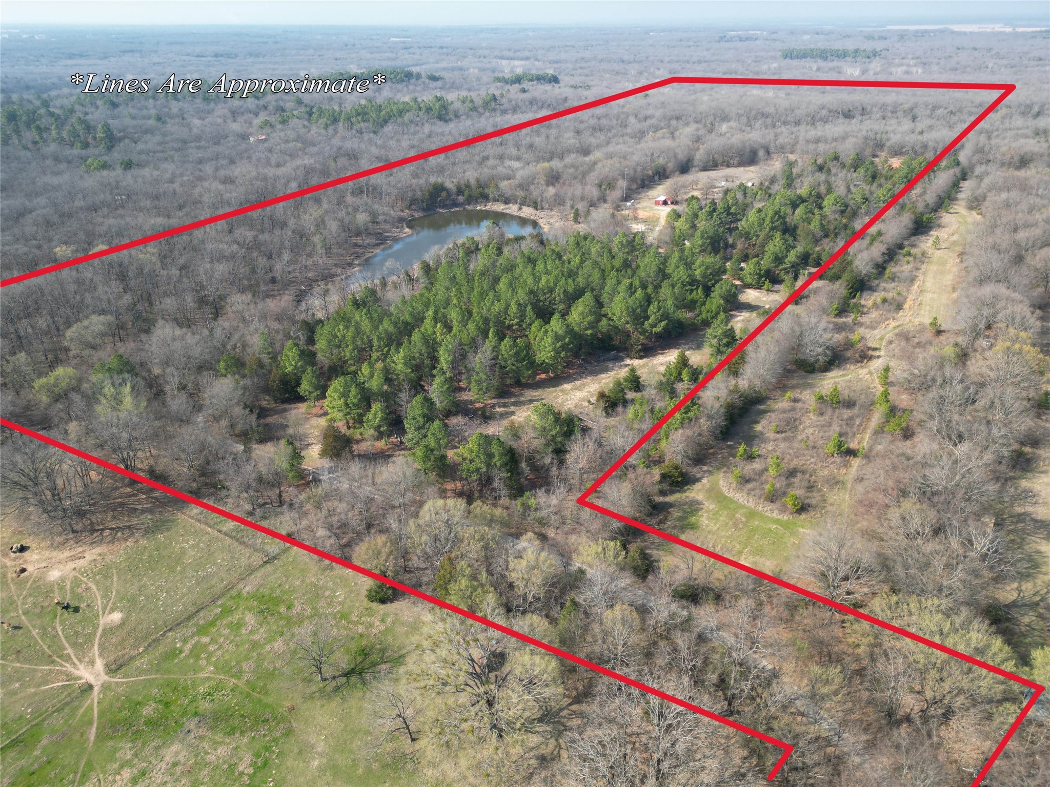 515 County Road 2317