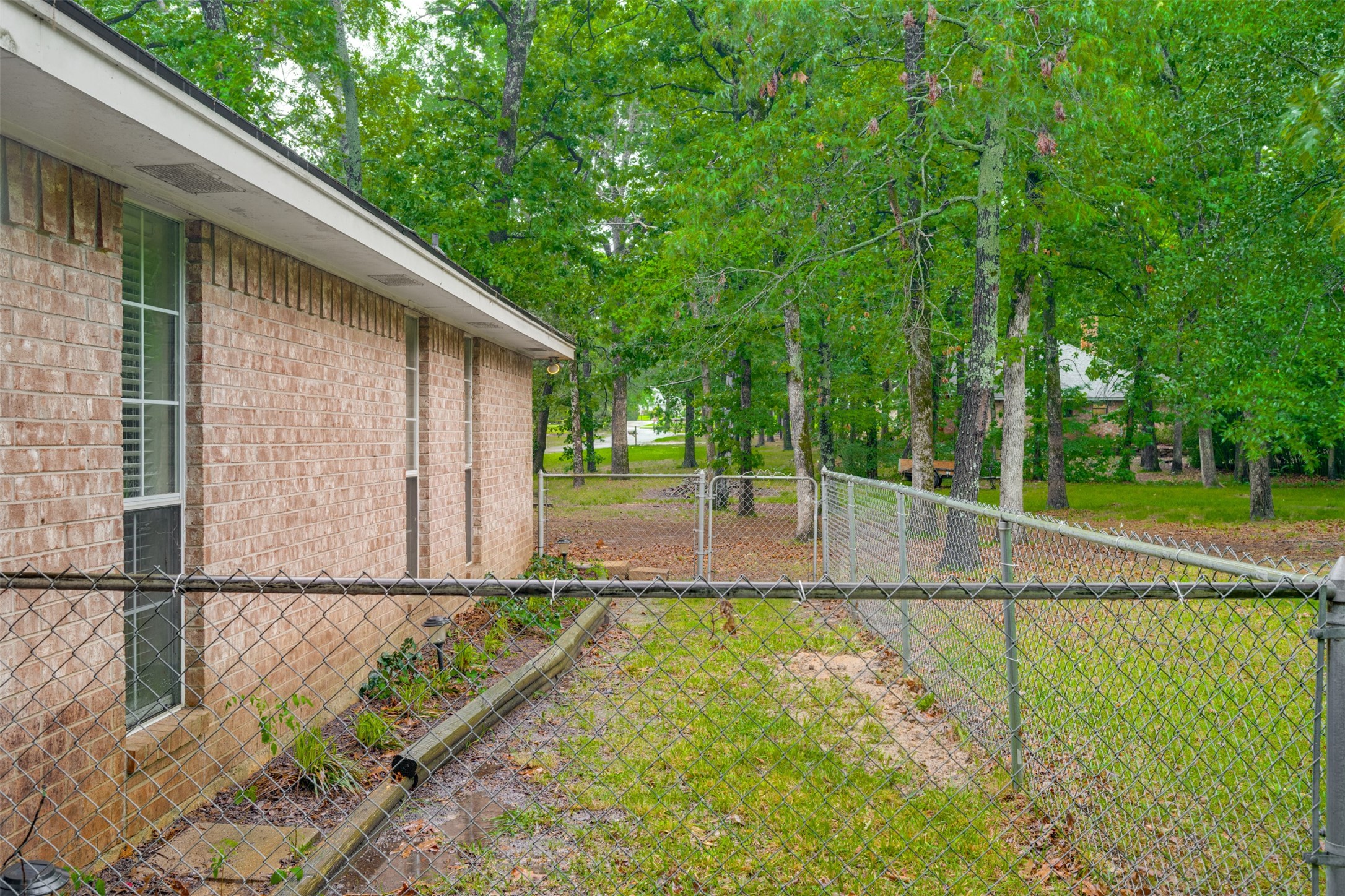 248 Butternut Lane