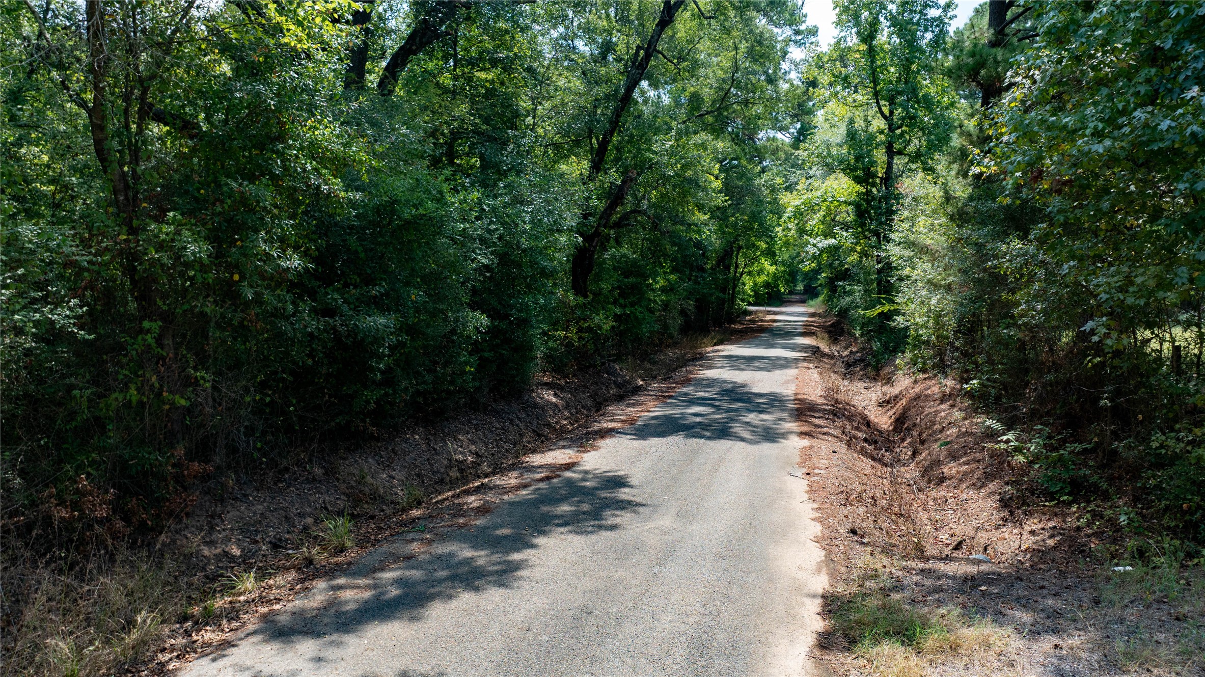 TBD Dancinger Road