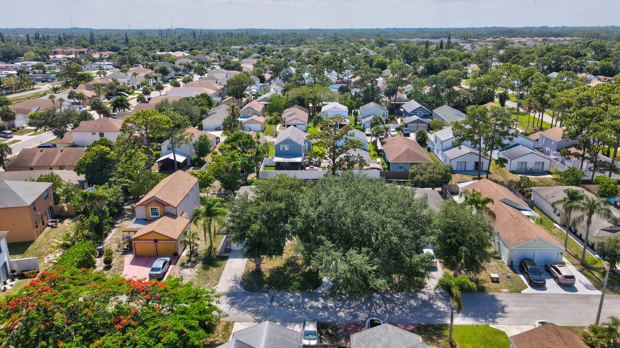 1413 Amaryllis Lane