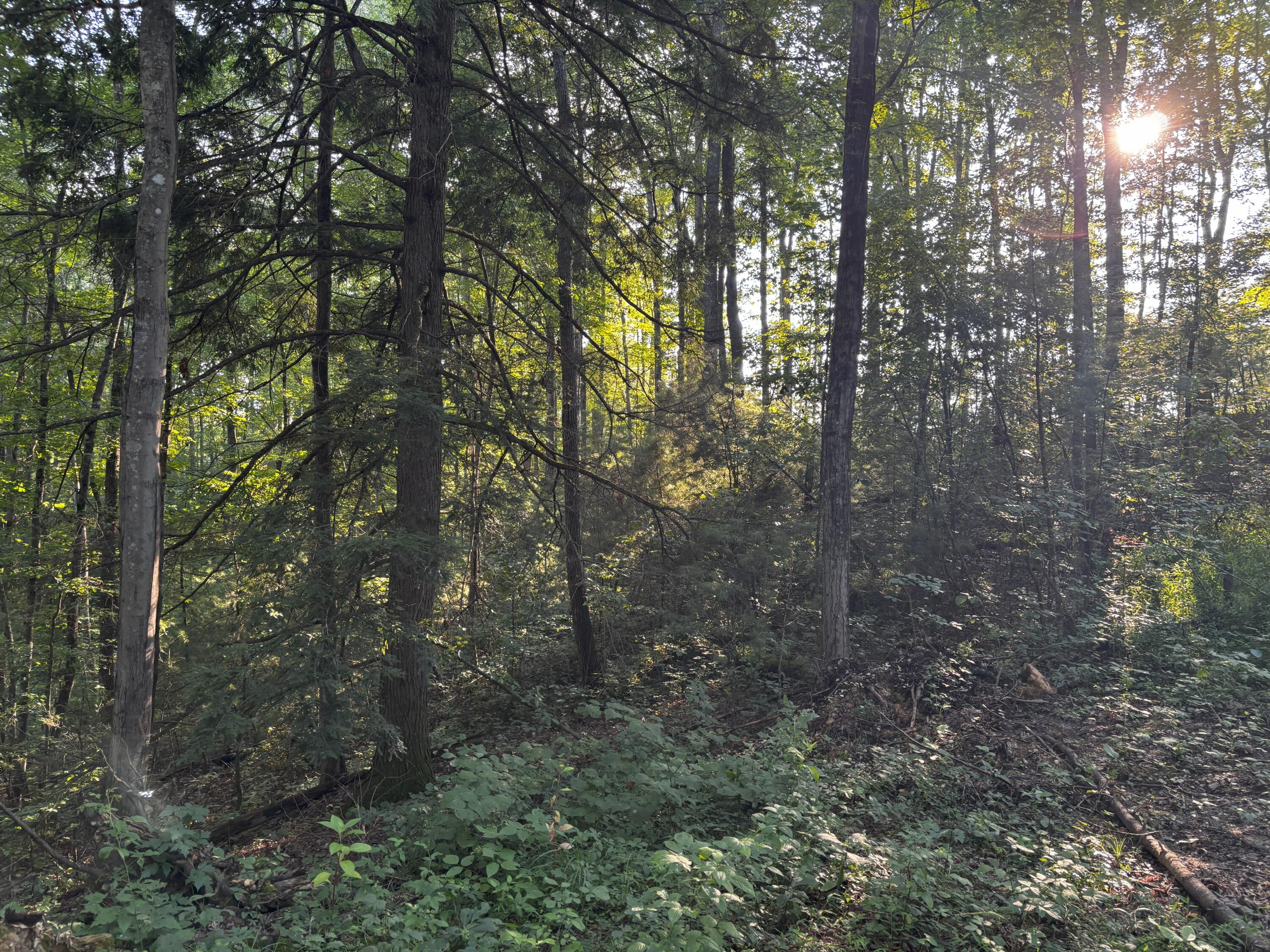 Lot 9 Victory Falls Development