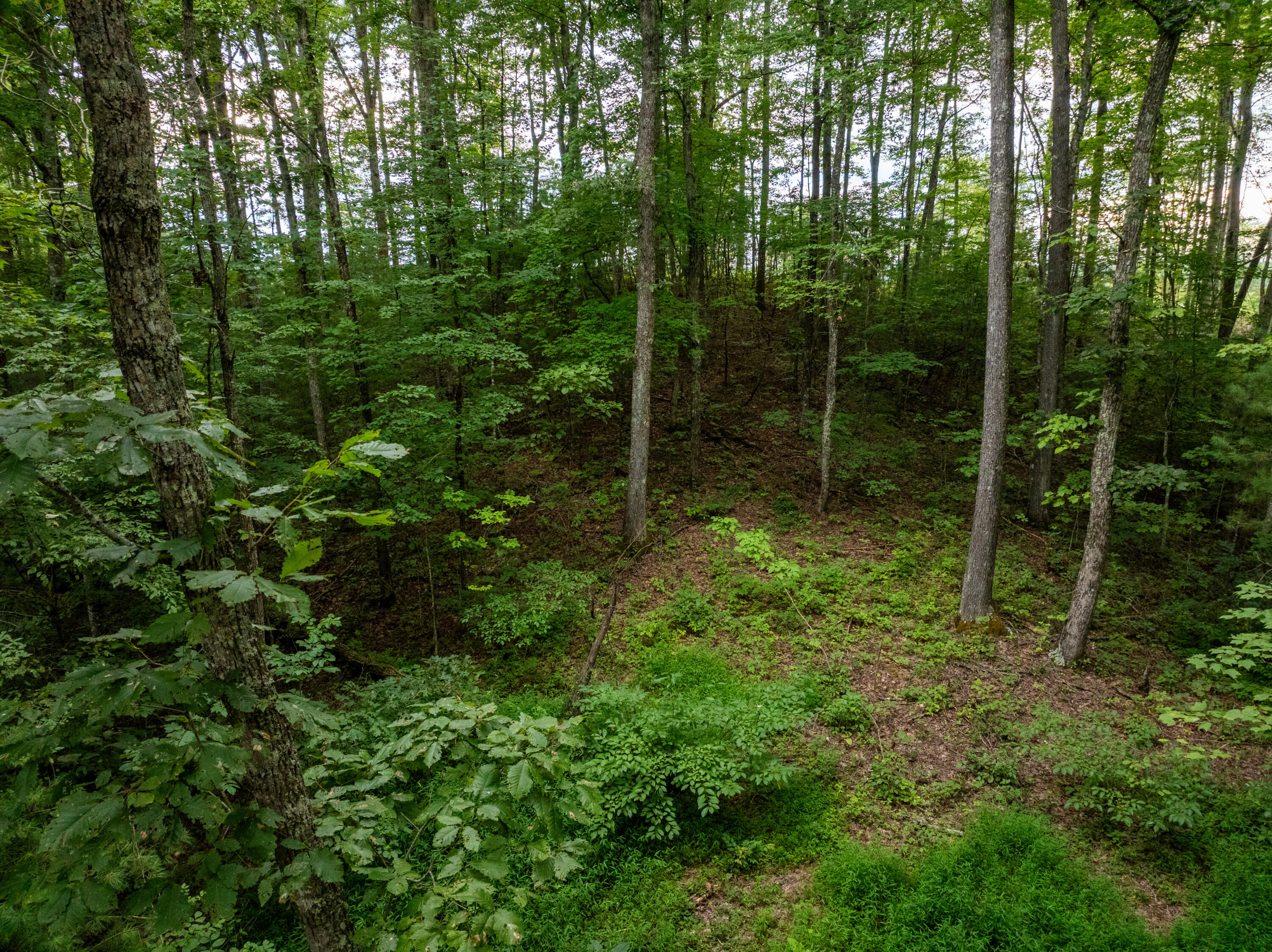 Lot 9 Victory Falls Development