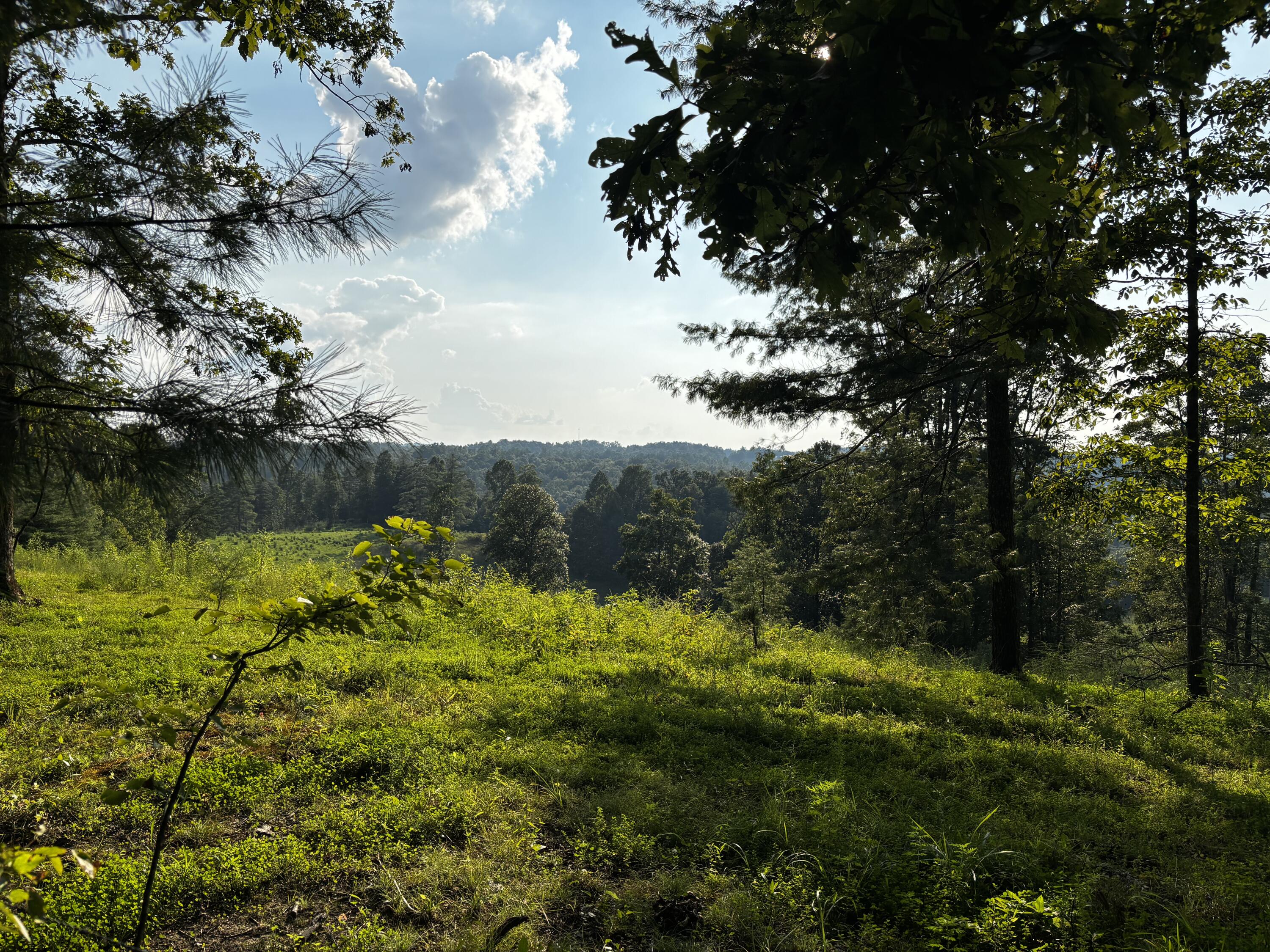 Lot 9 Victory Falls Development