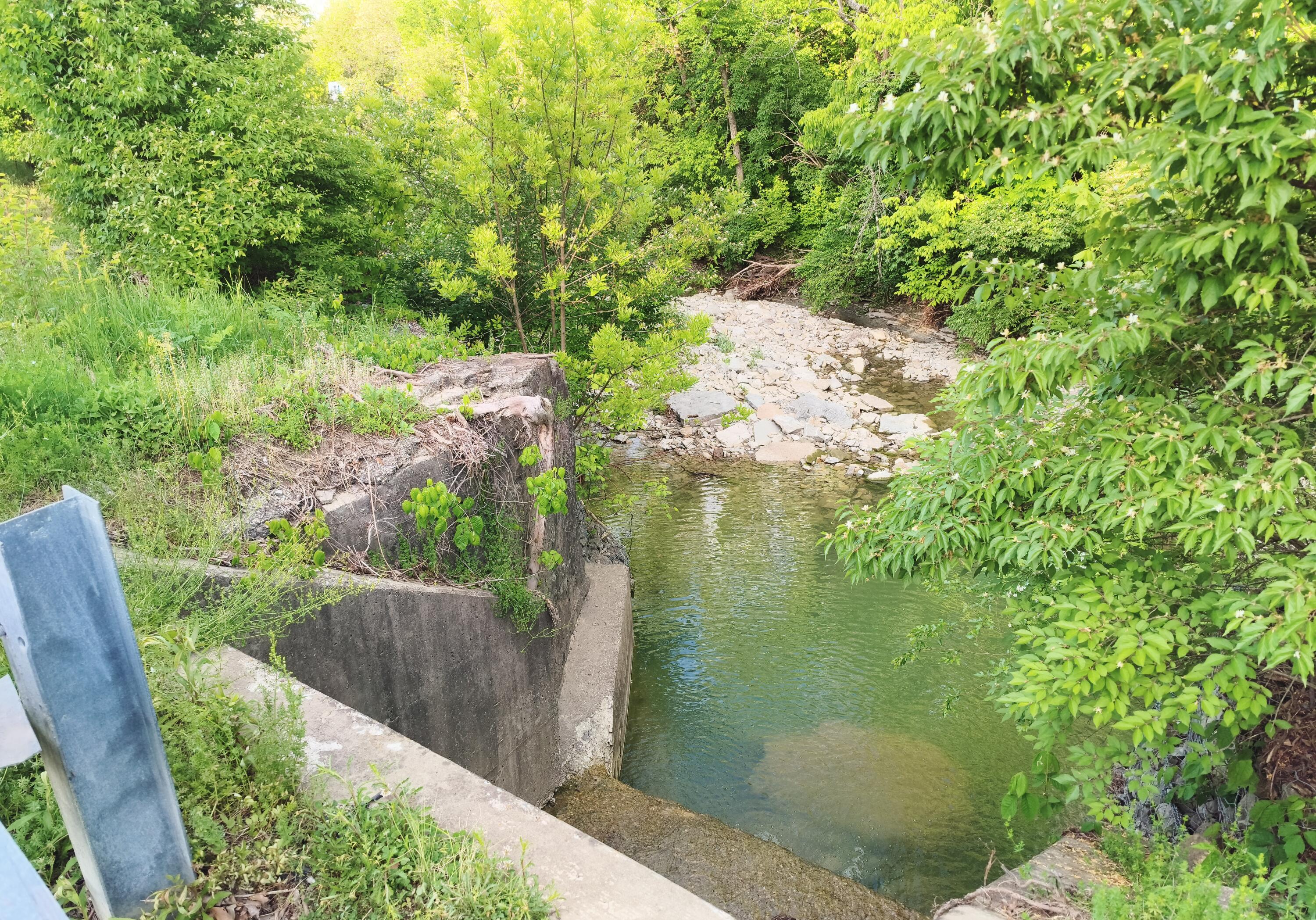 785 Horsebranch Road