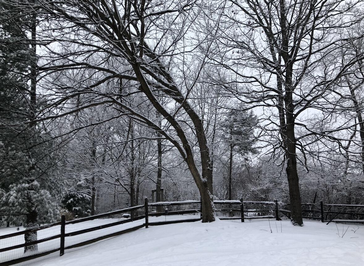 10282 Hempsteade Drive