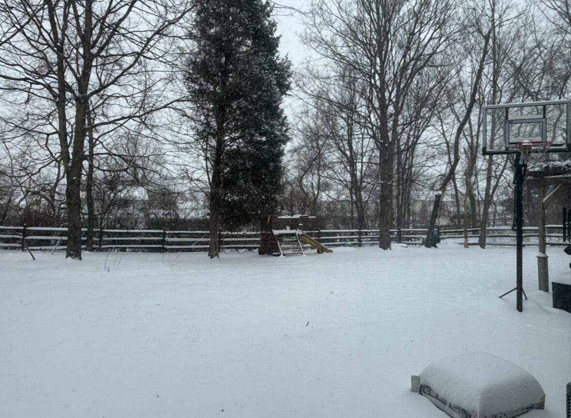 10282 Hempsteade Drive