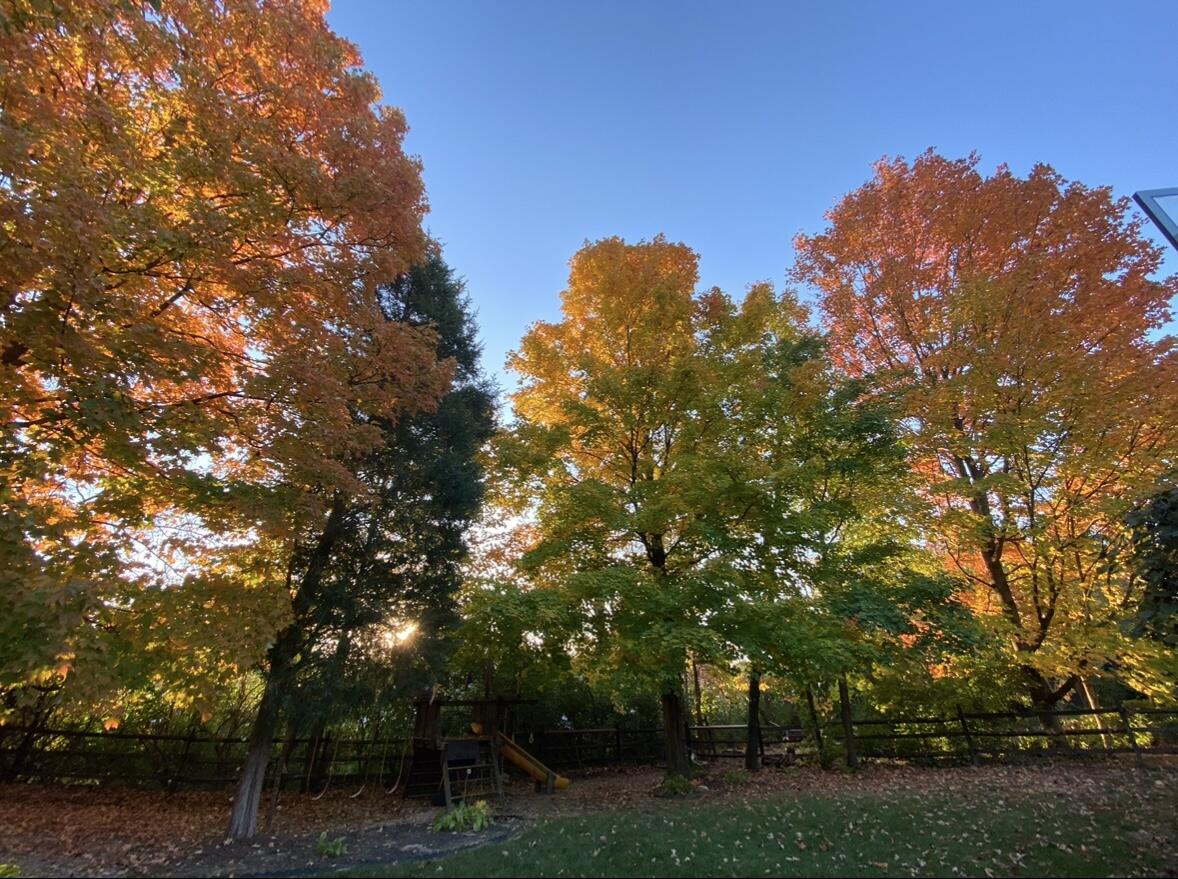 10282 Hempsteade Drive