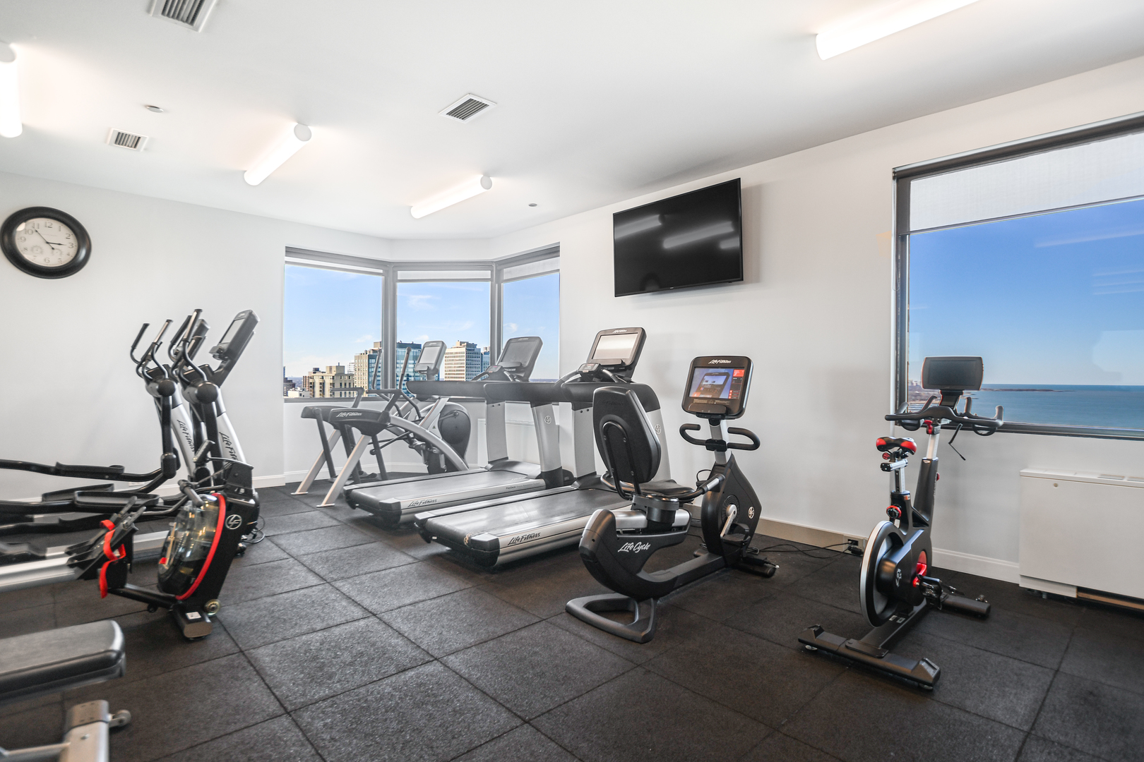 990 N Lake Shore Drive Unit: 25A