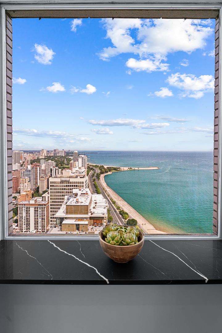 1000 N Lake Shore Plaza Unit: 49A