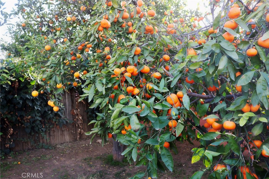 3770 Briarvale Street