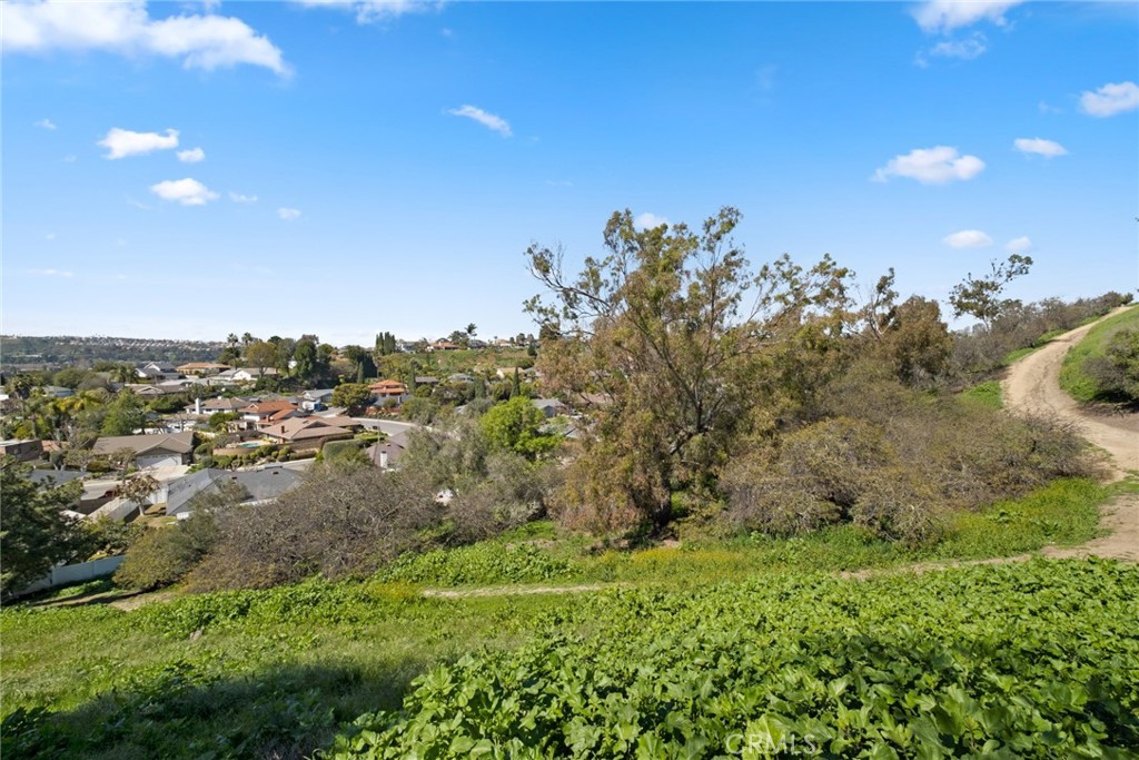 24291 Los Serranos Dr