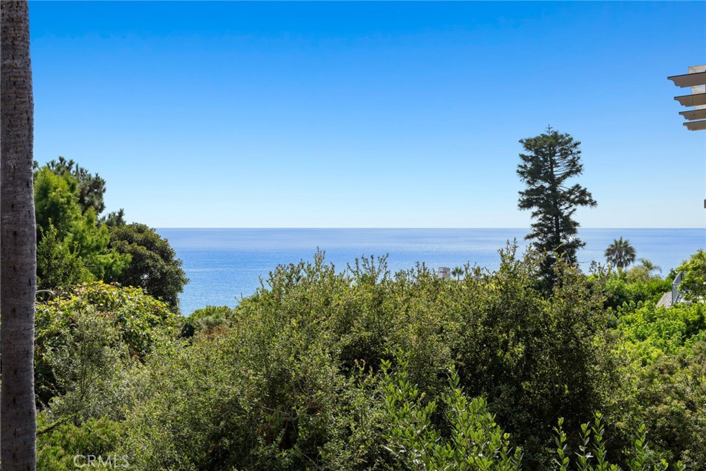 31402 Ocean view
