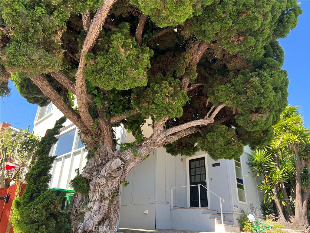 31501 Burnside Place