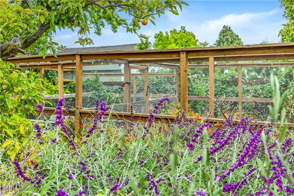 31852 Paseo Alto Plano