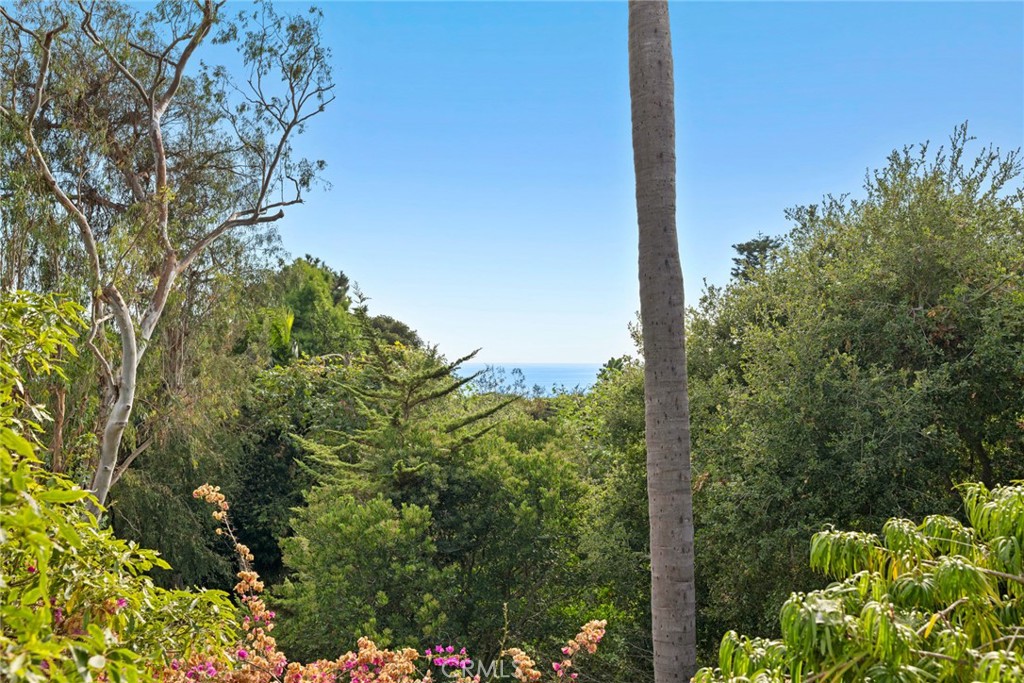 31402 Ocean View