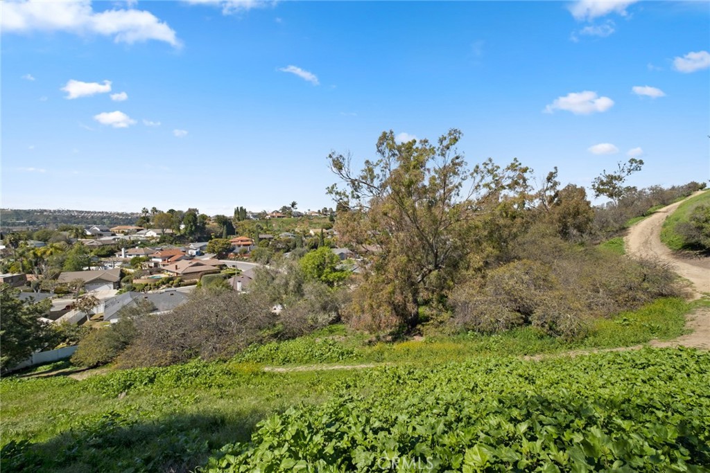 24291 Los Serranos Drive