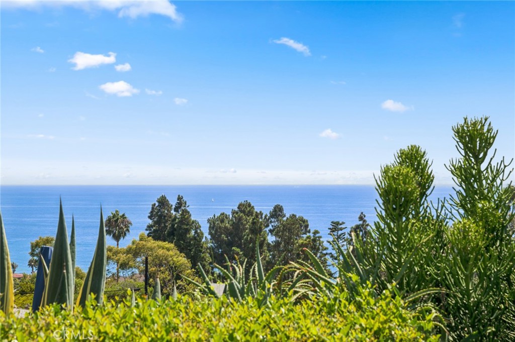 30841 Driftwood Drive