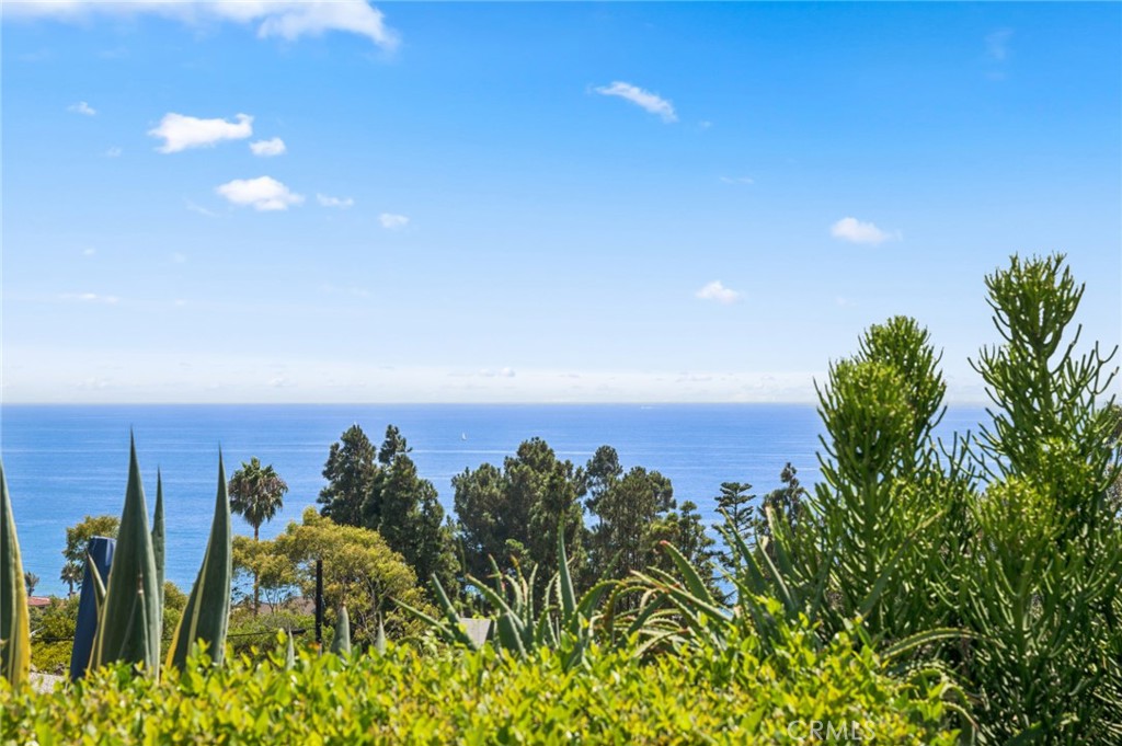 30841 Driftwood Drive