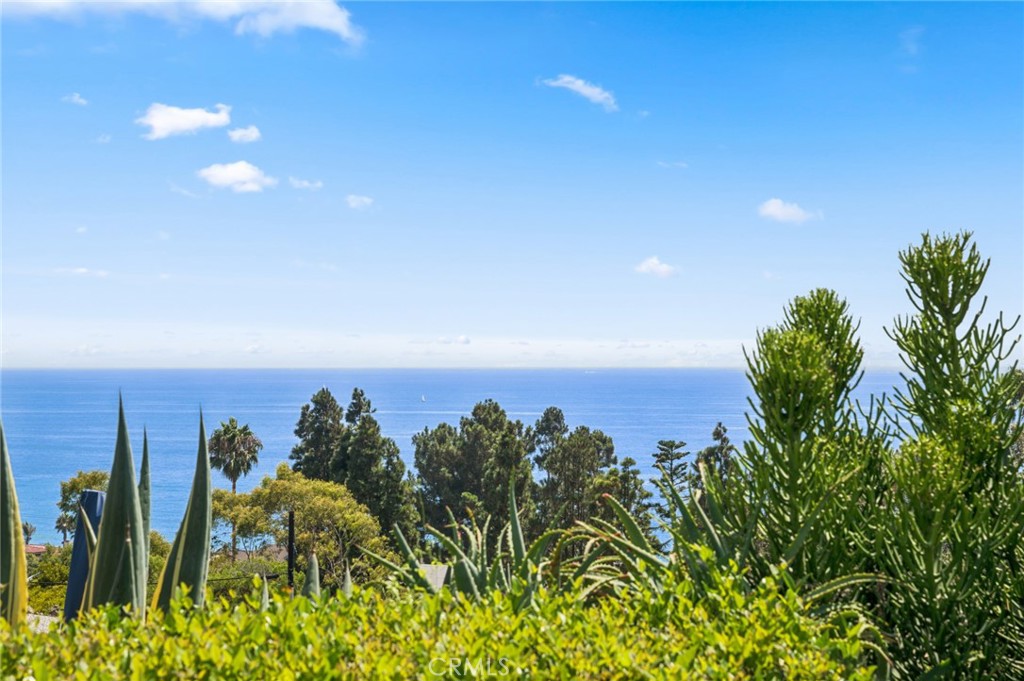 30841 Driftwood Drive