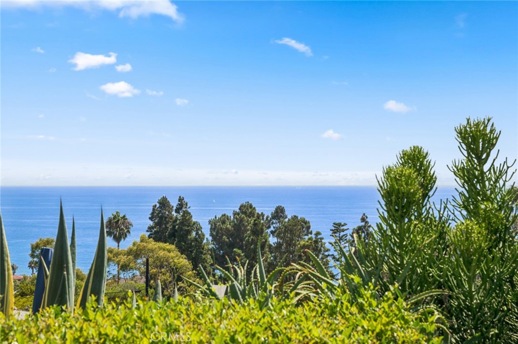 30841 Driftwood Drive