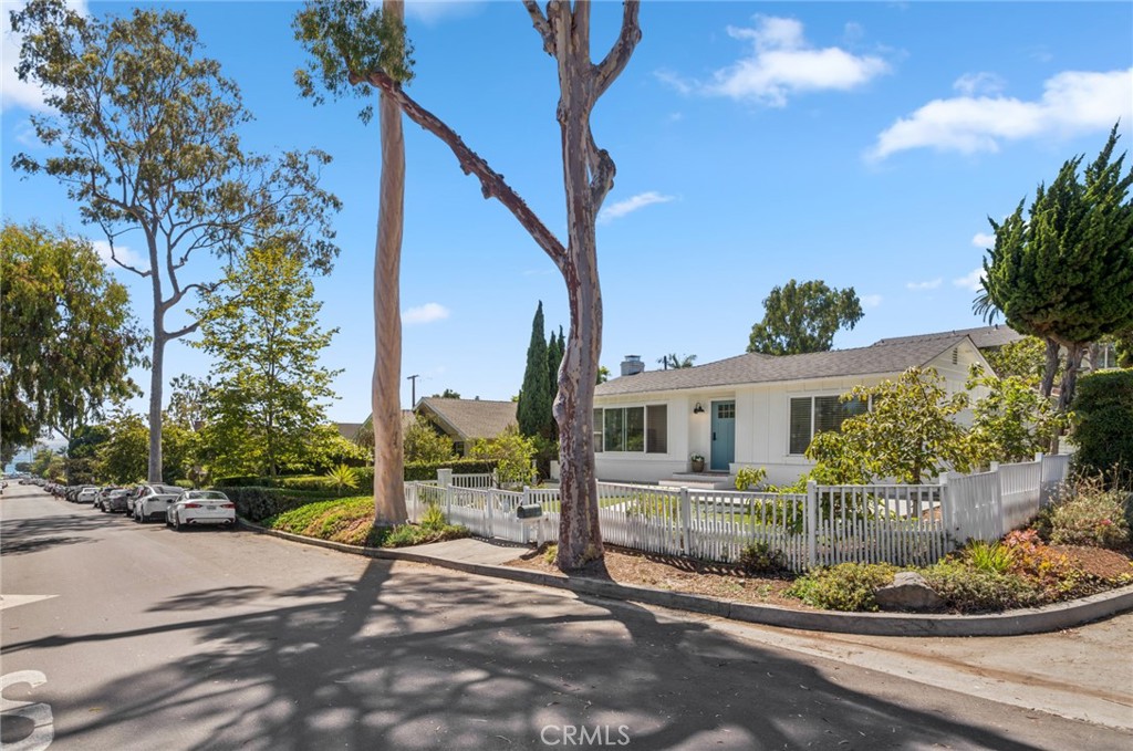 394 Aster Street