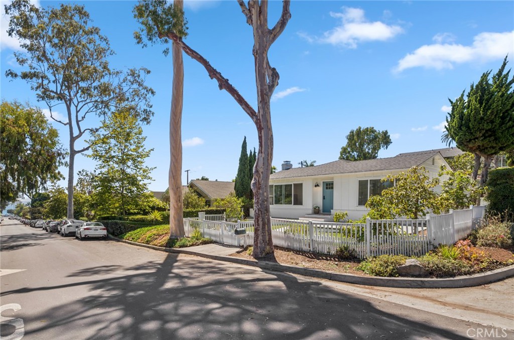 394 Aster Street